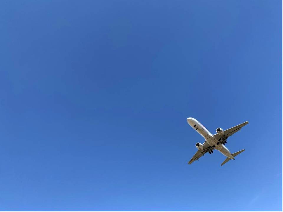 Delivery inspection