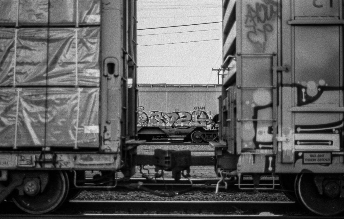 Case: perishable imports